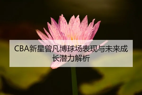 CBA新星曾凡博球场表现与未来成长潜力解析